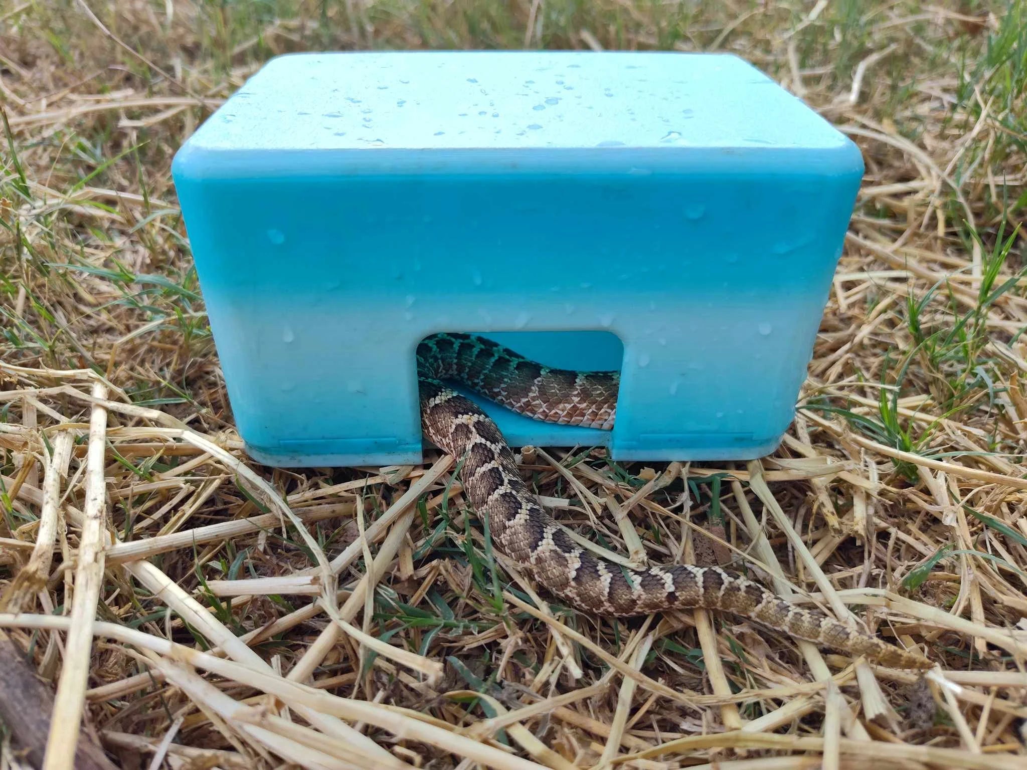 A survey for people that bought the Origin Hide Box!  Please click the link and let us know how we did!