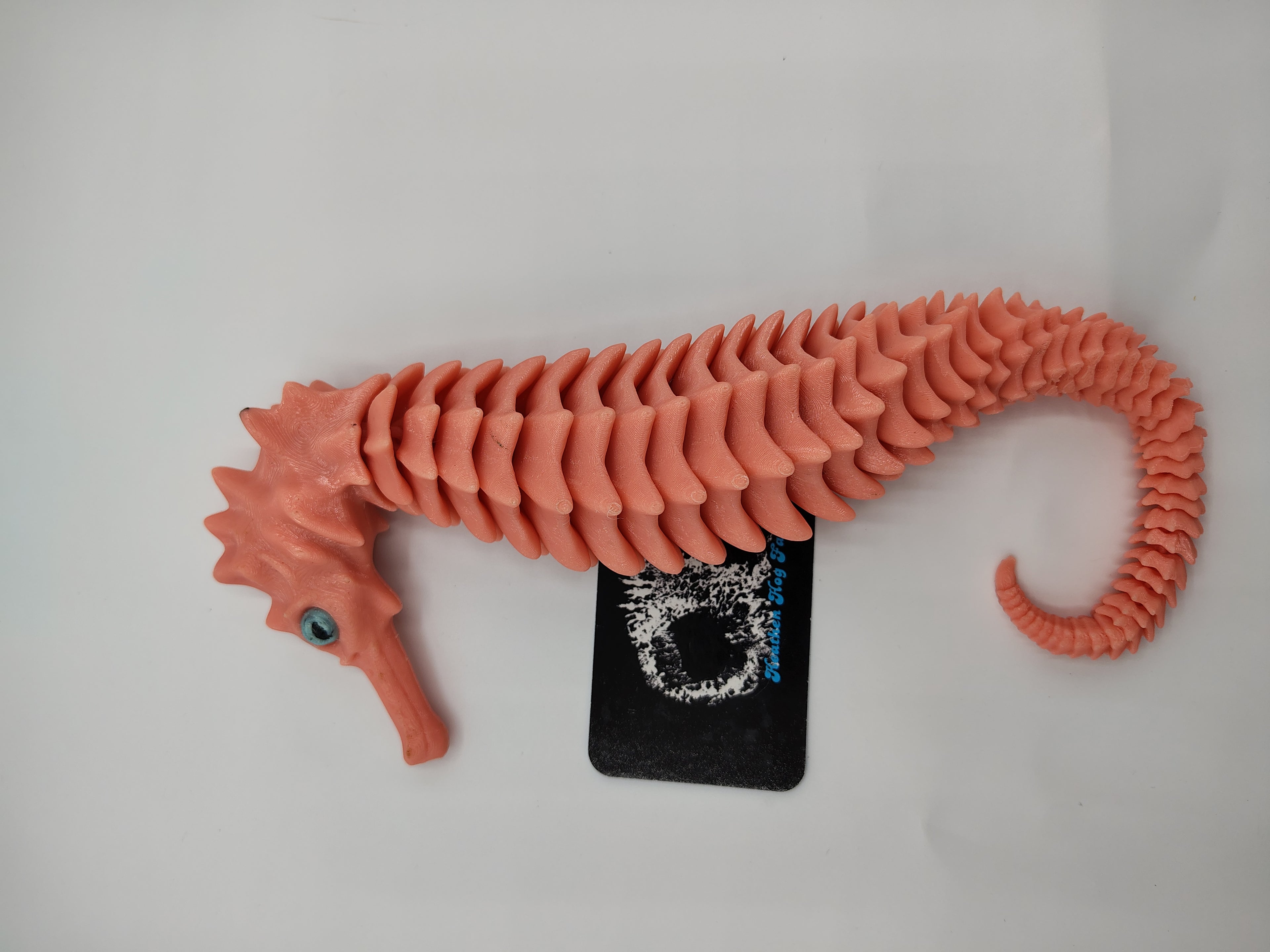 seahorse