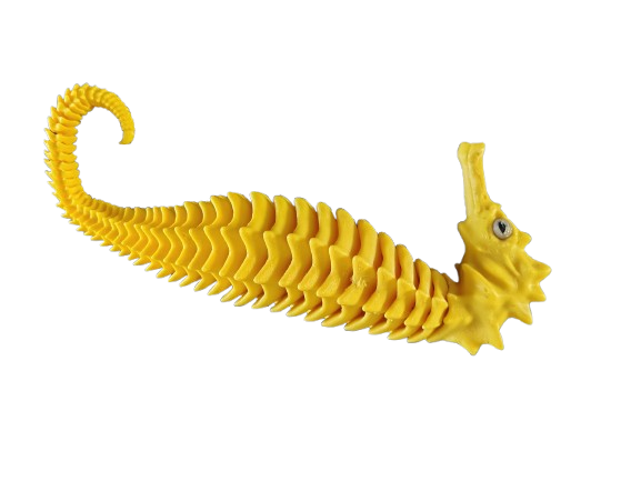 seahorse