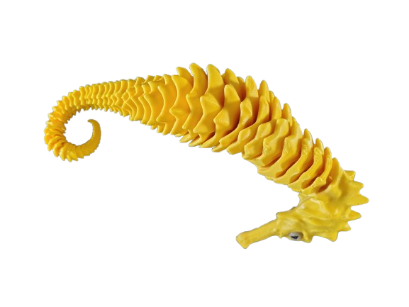 seahorse