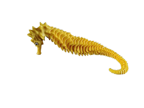 seahorse