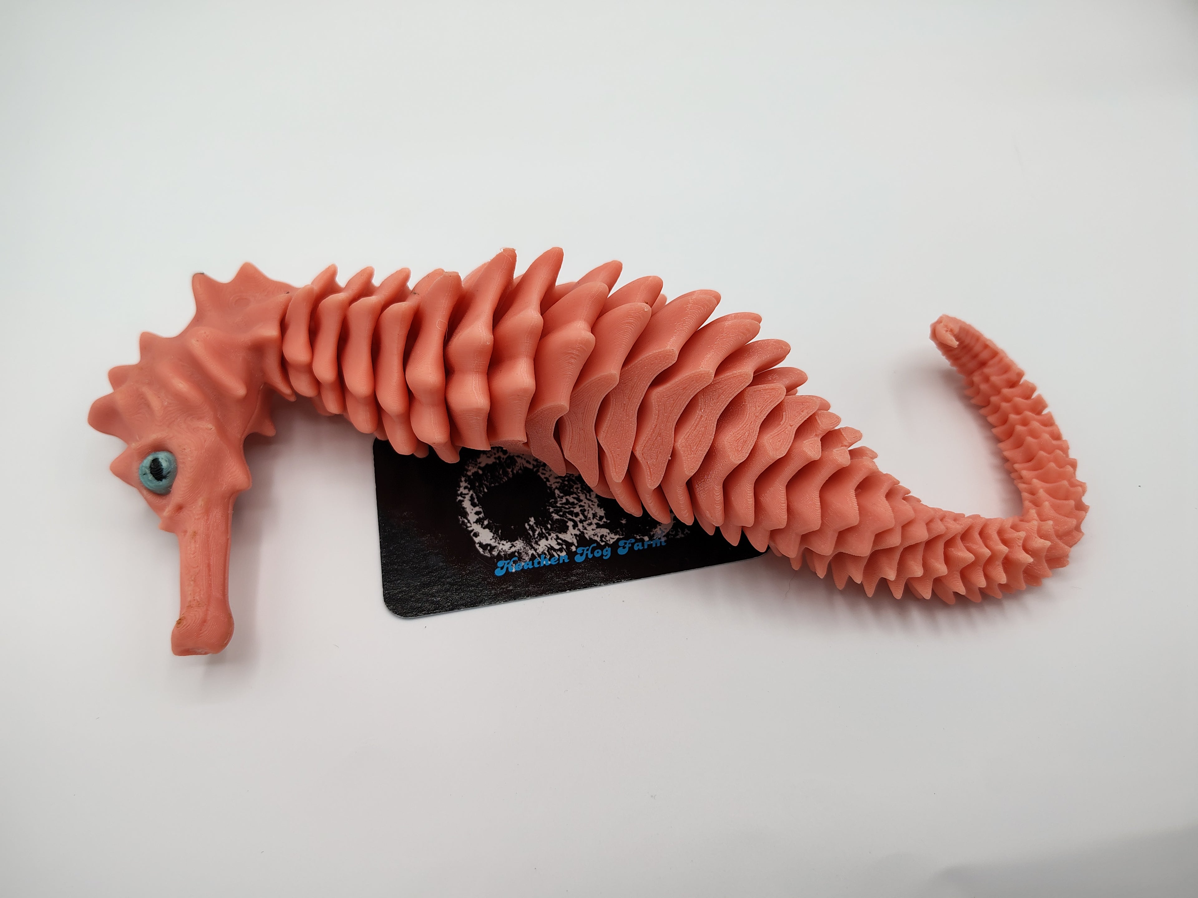 seahorse