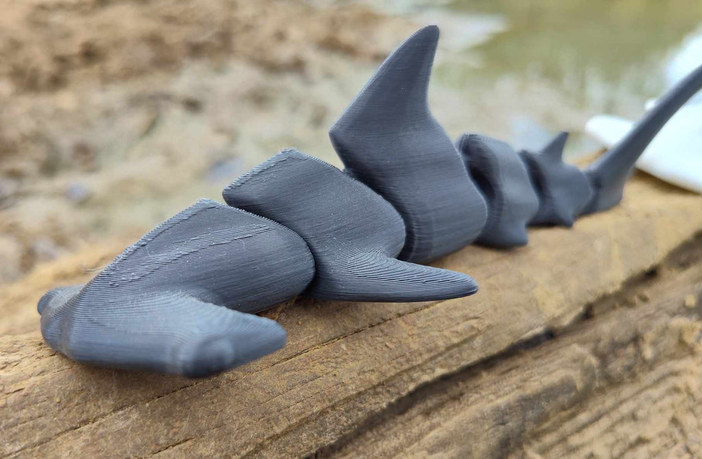 Hammerhead Shark