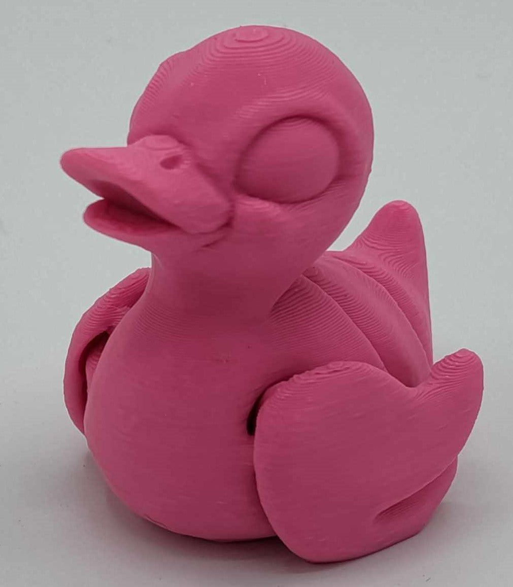 DUCKS