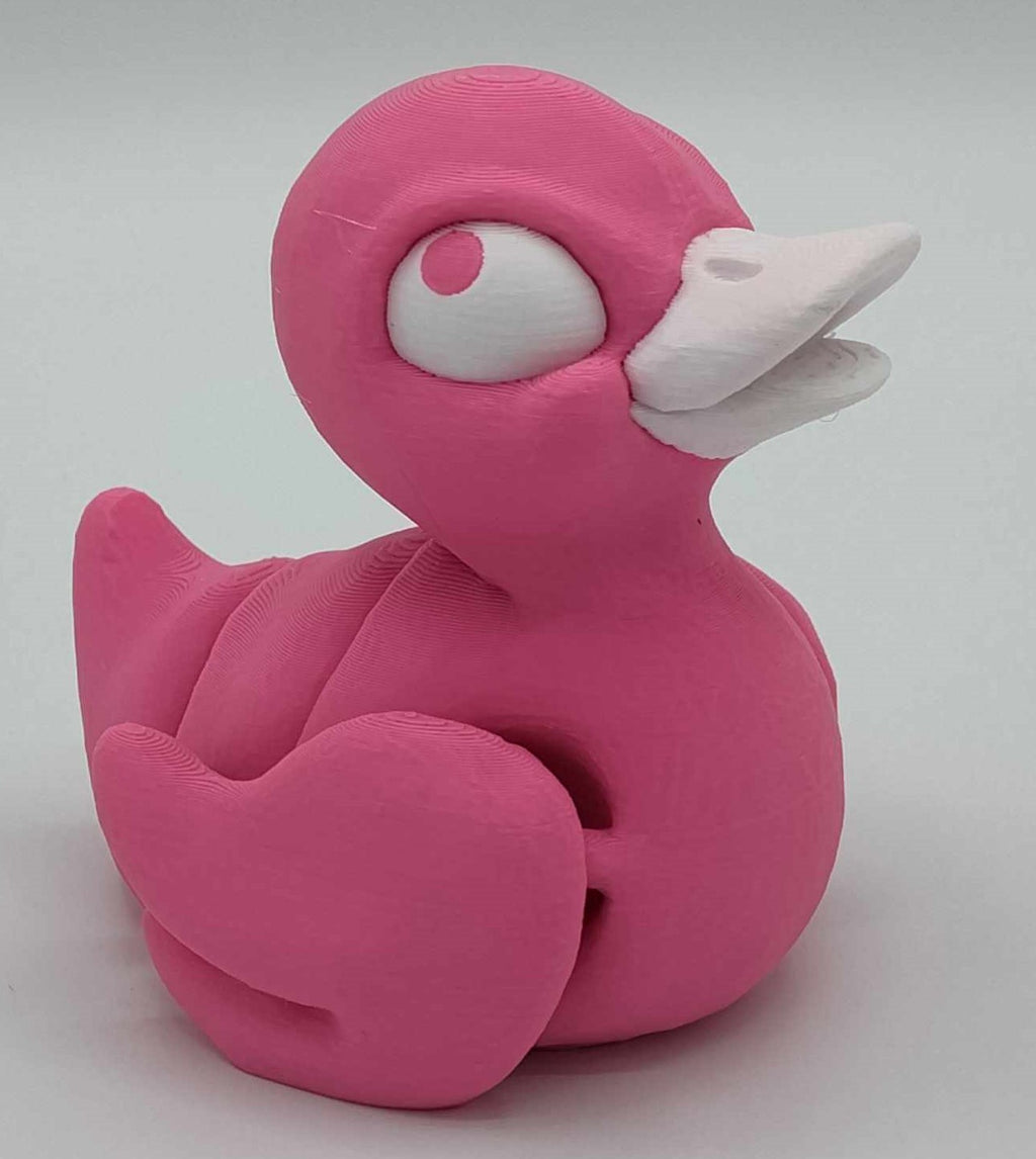 DUCKS