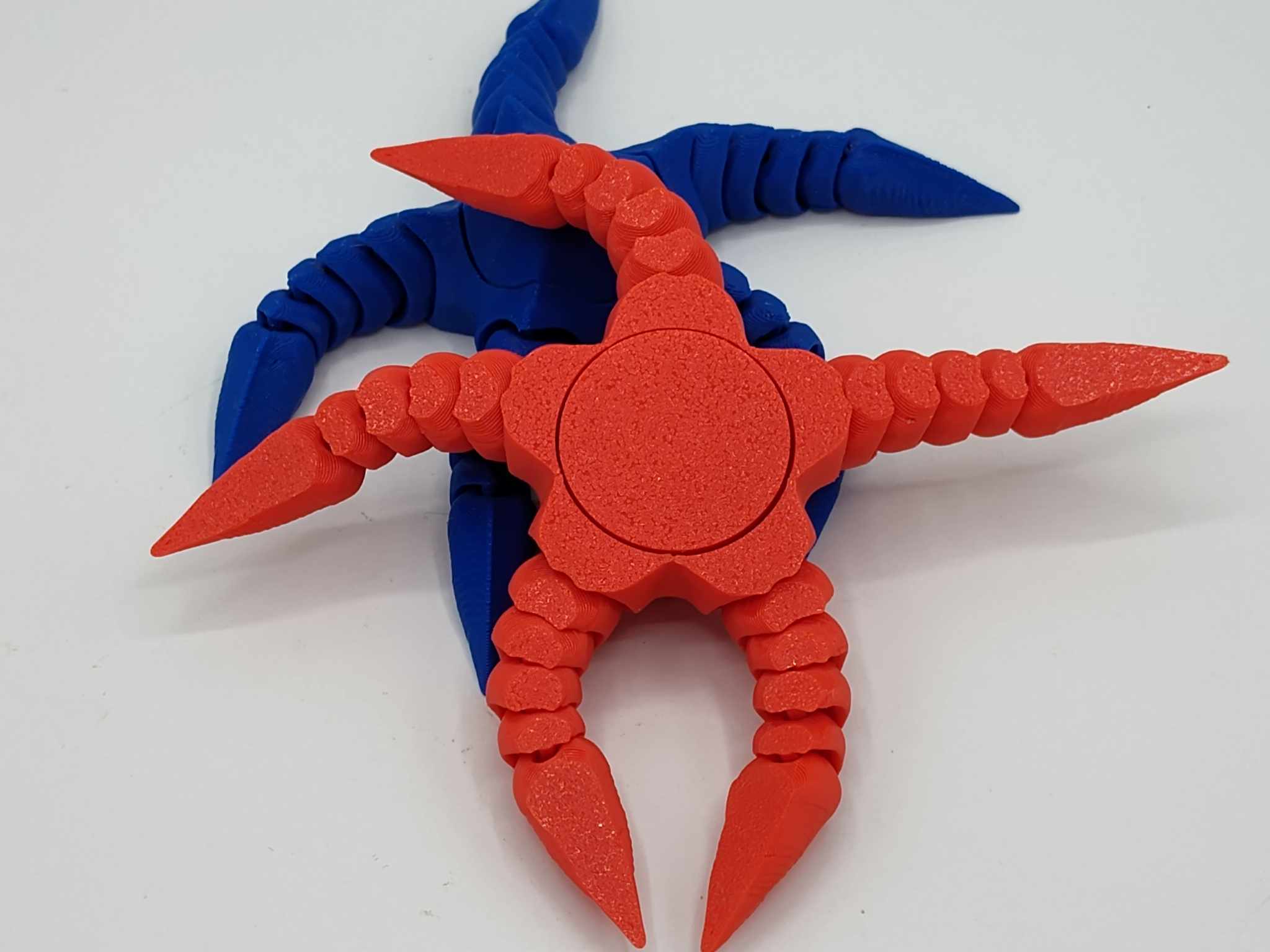 STARFISH FIDGET