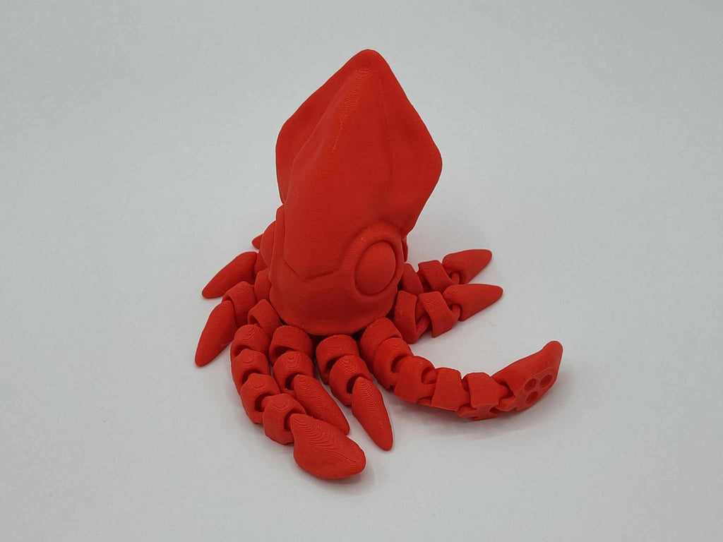 Squid
