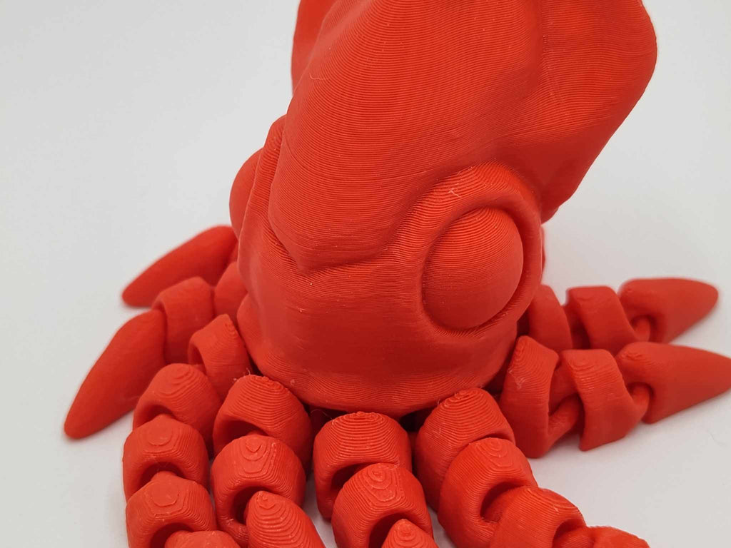 Squid