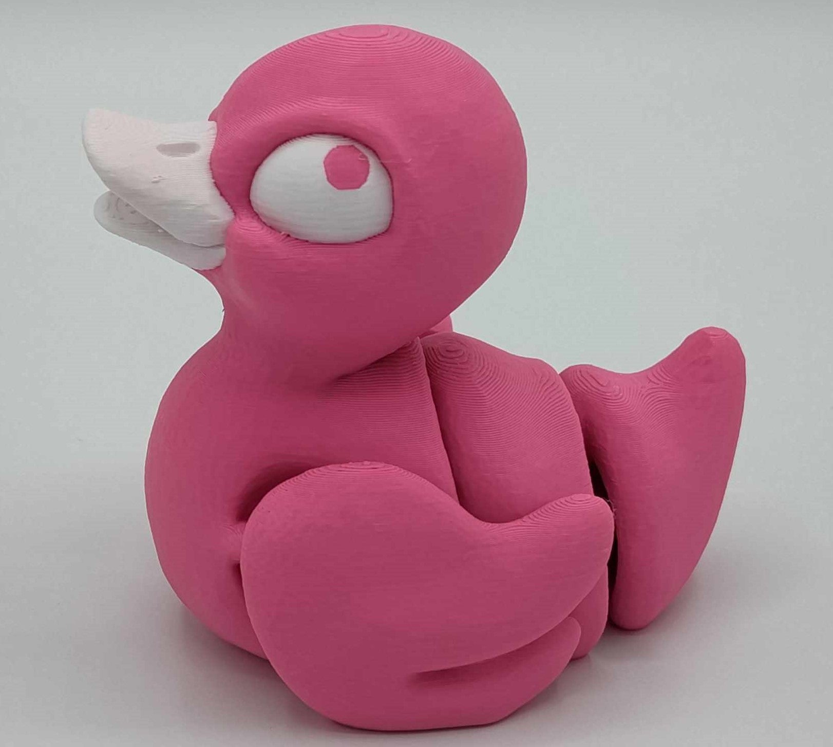 DUCKS