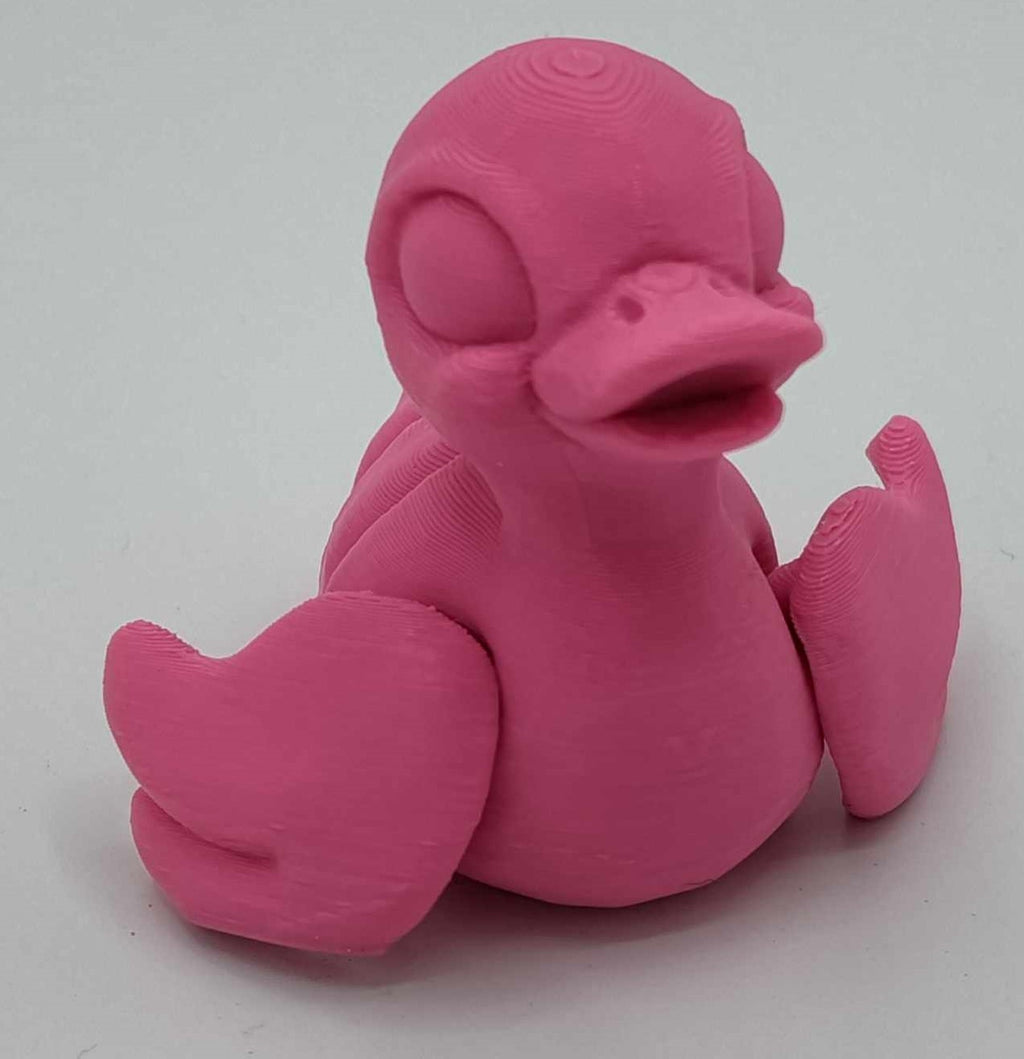 DUCKS