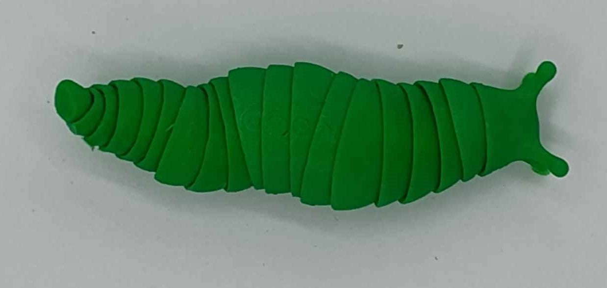 slug