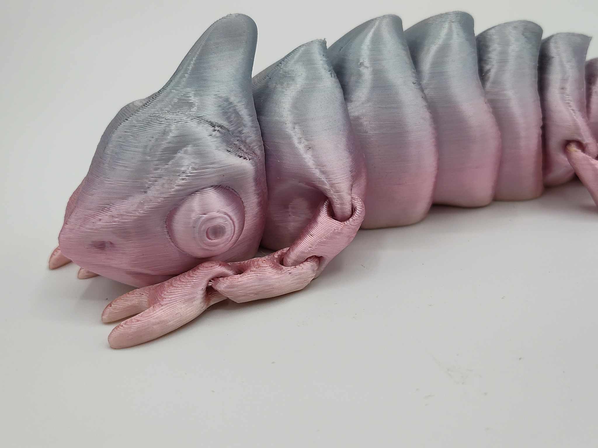 Chameleon
