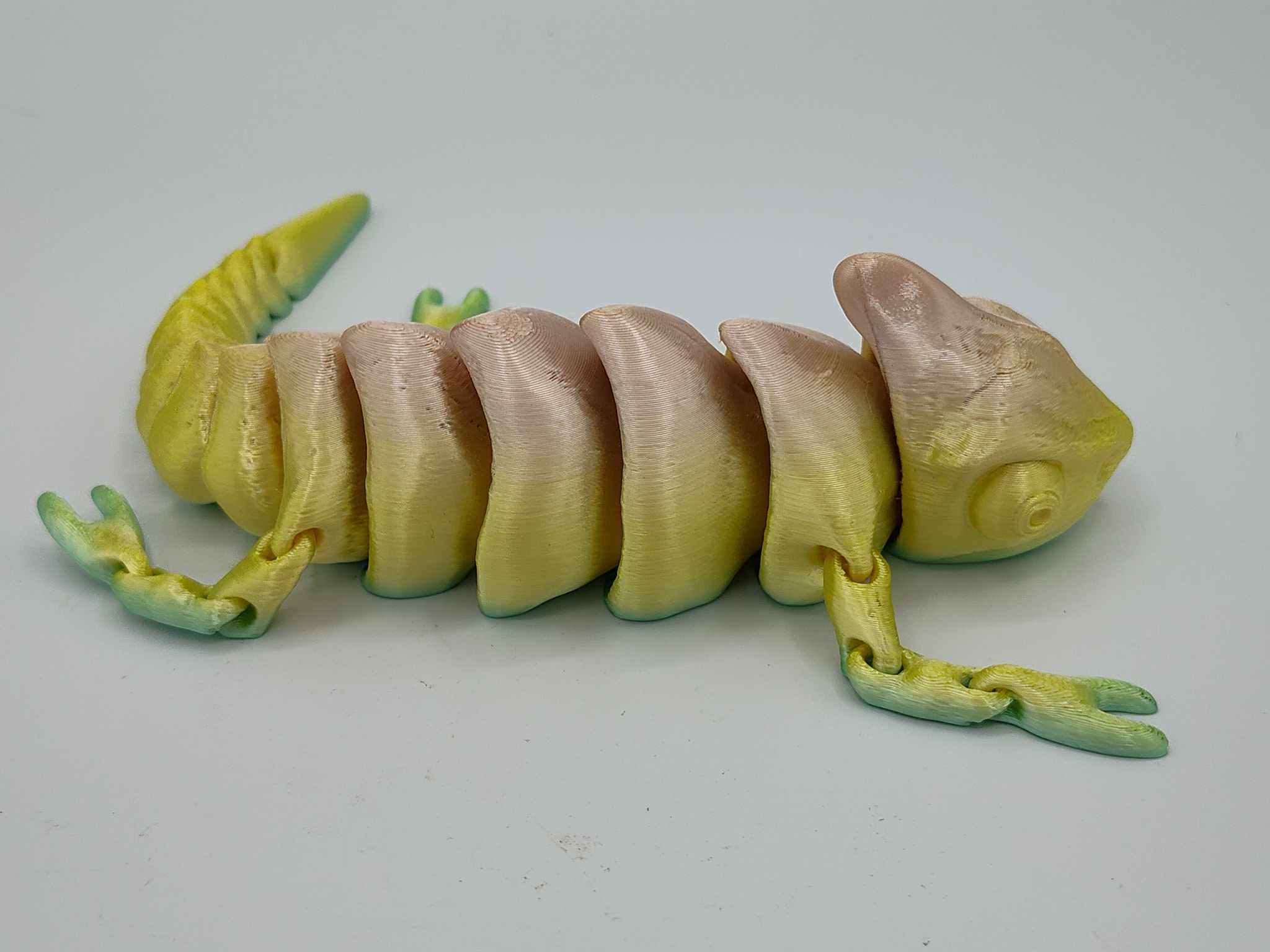 Chameleon