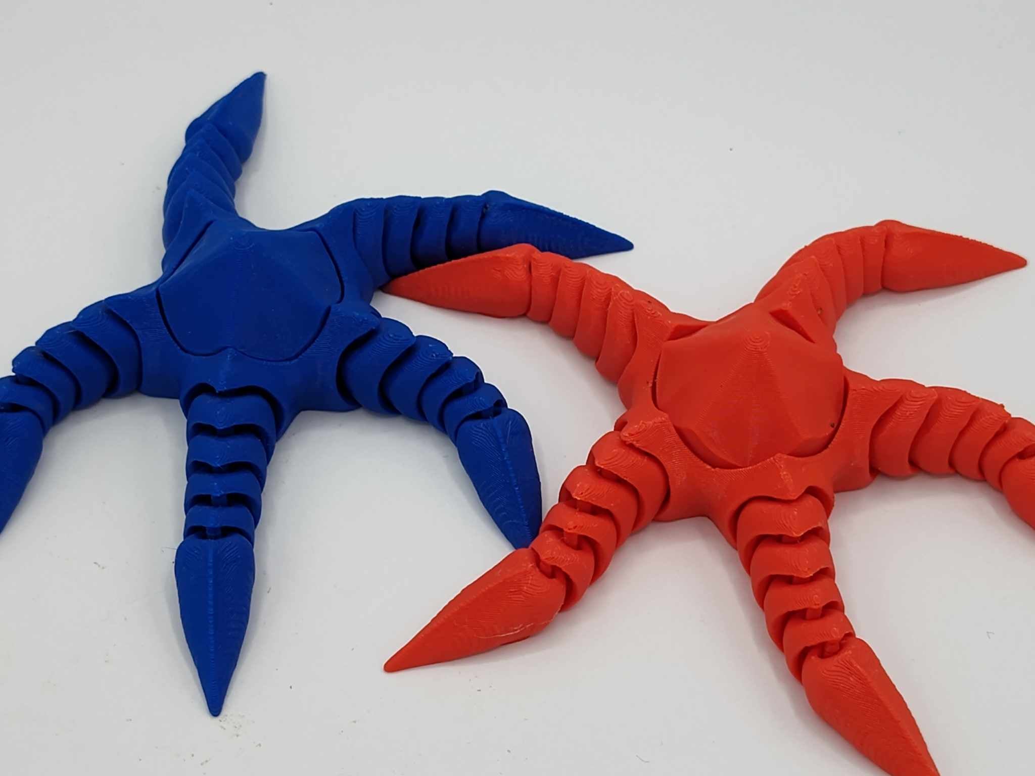STARFISH FIDGET