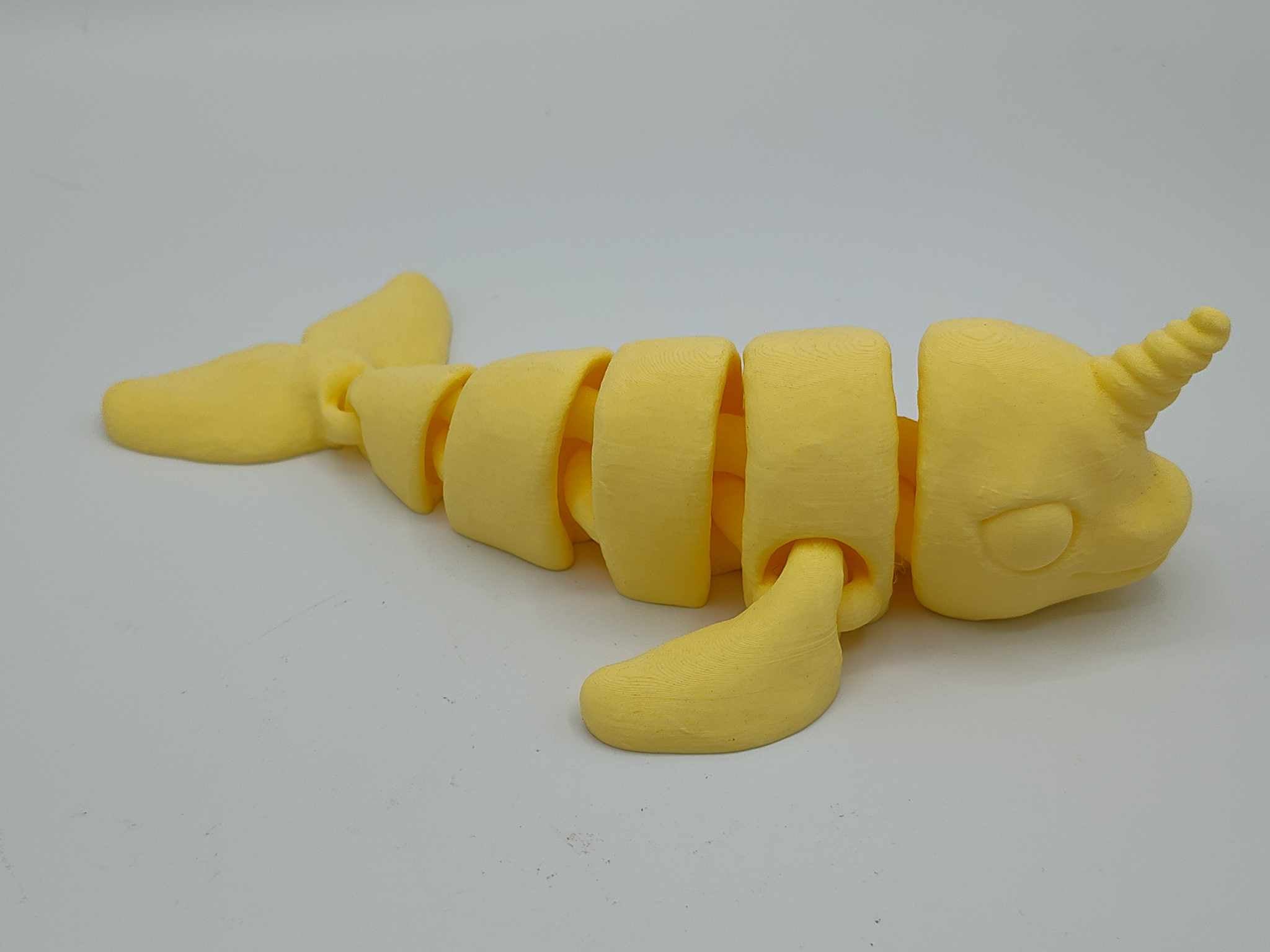 Narwhal