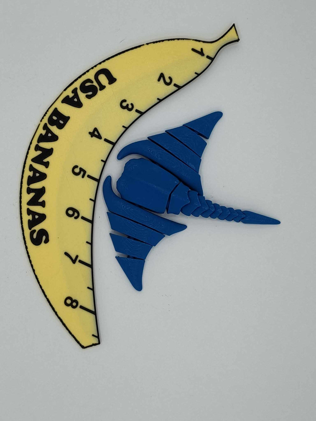 Ray Flexi