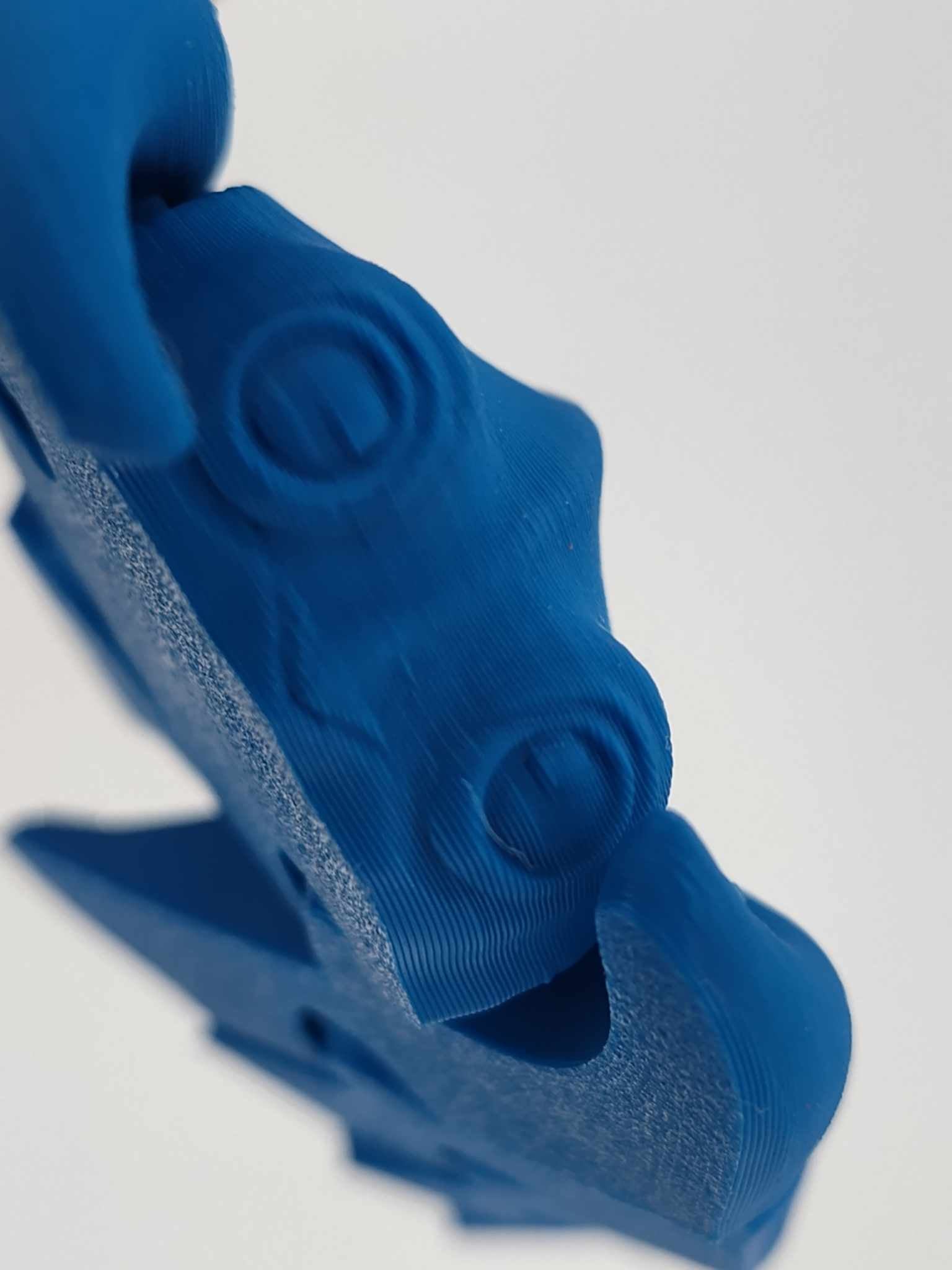 Ray Flexi