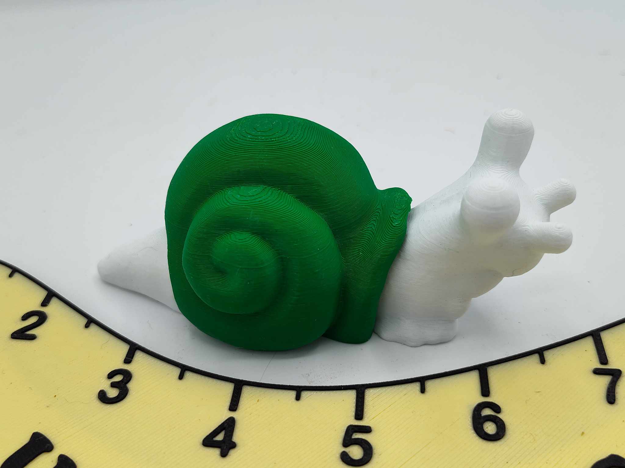Snail