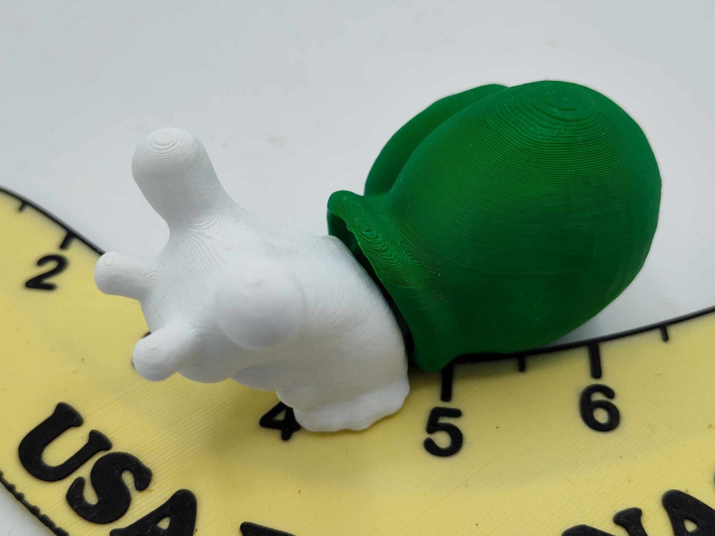 Snail
