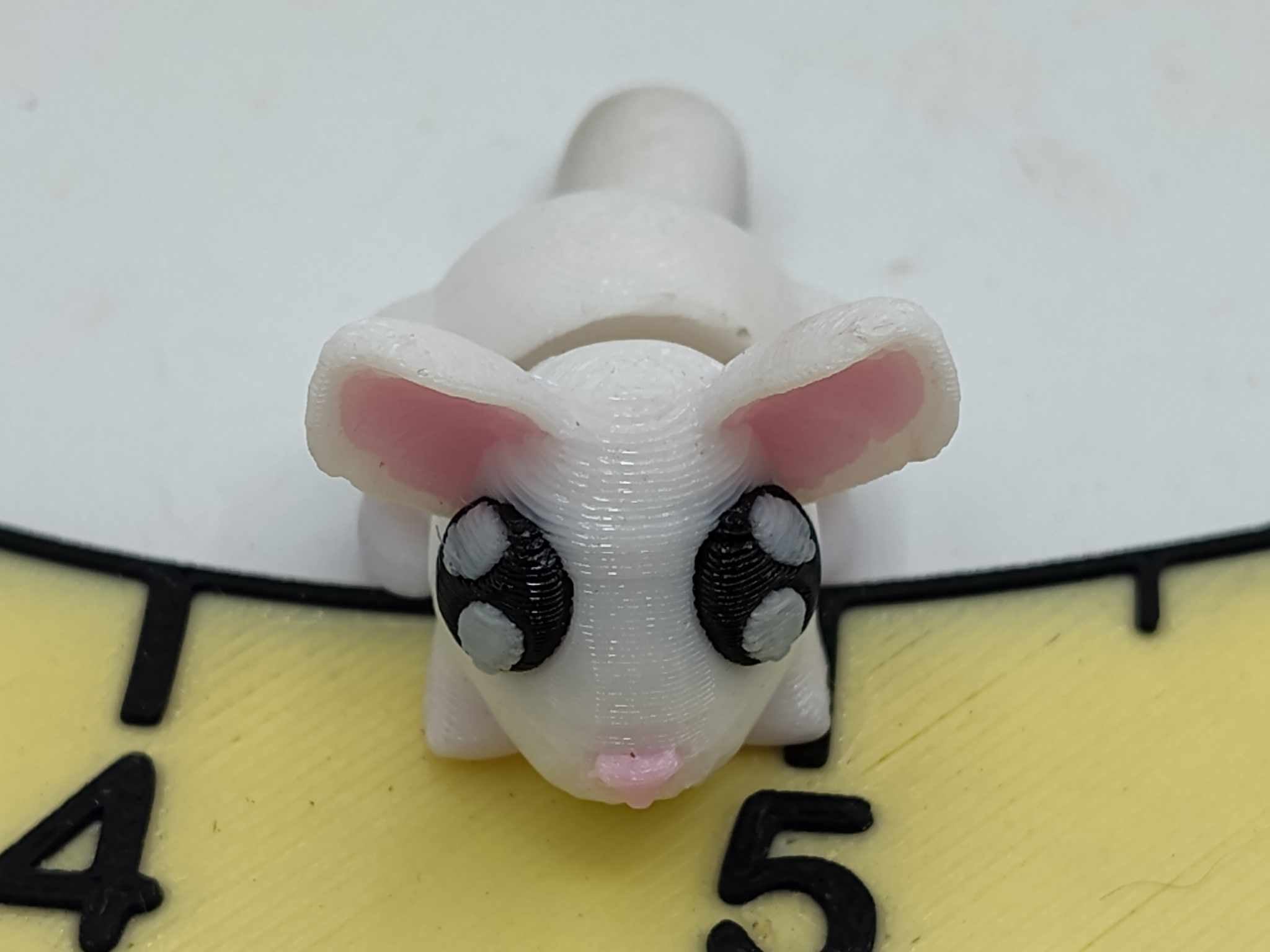Lil Chilla Chinchilla