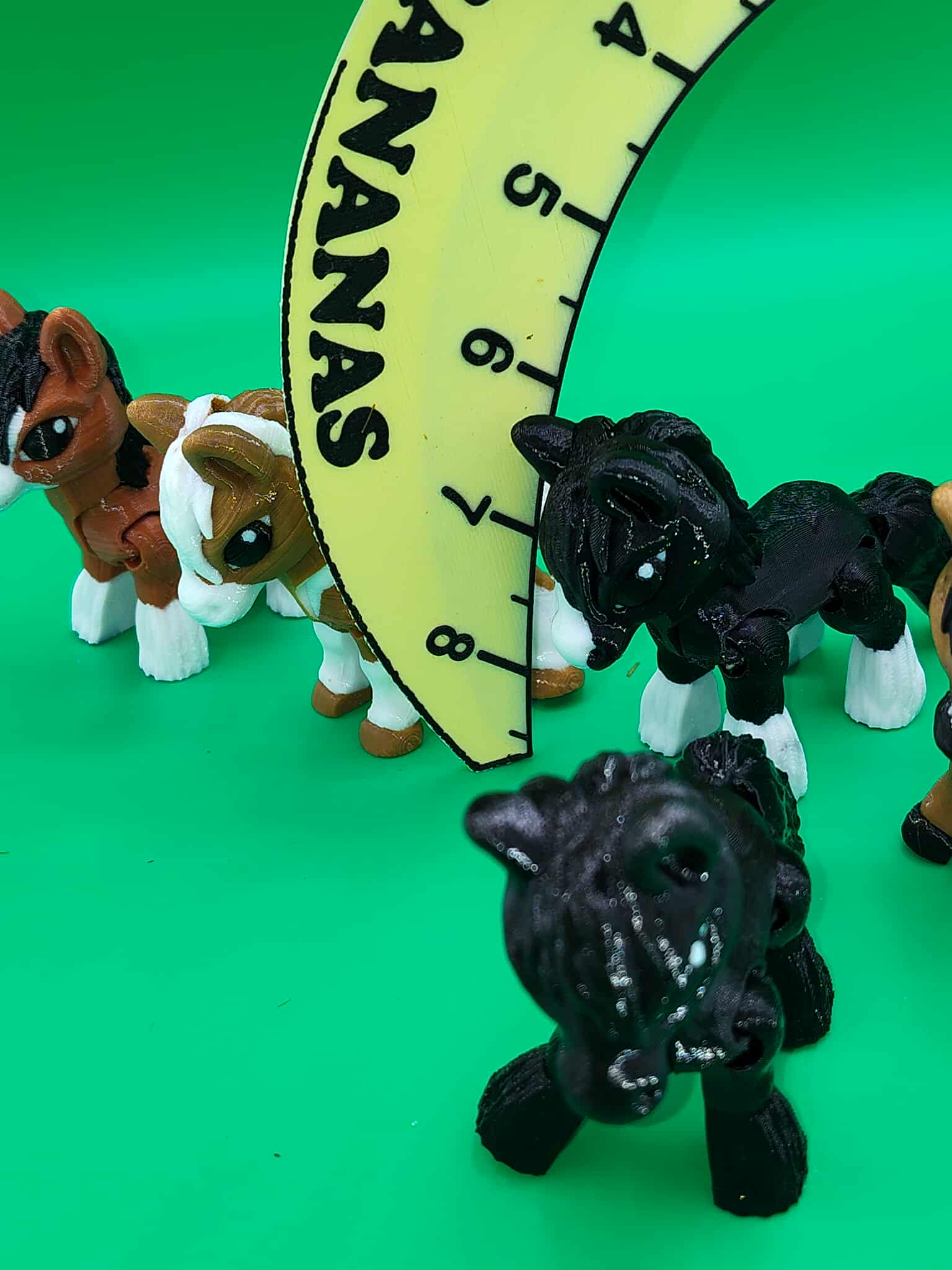 Tiny Horse