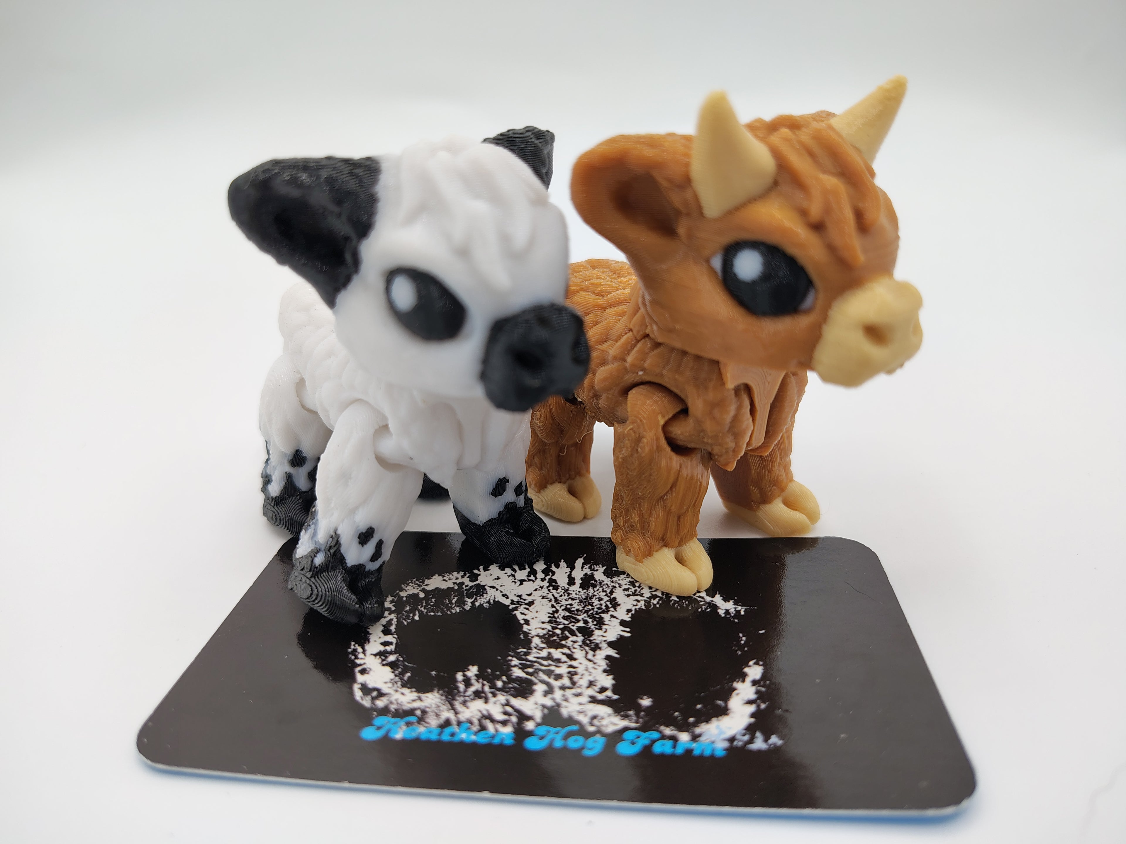 Highland Cow