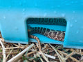 Origin Hide Box
