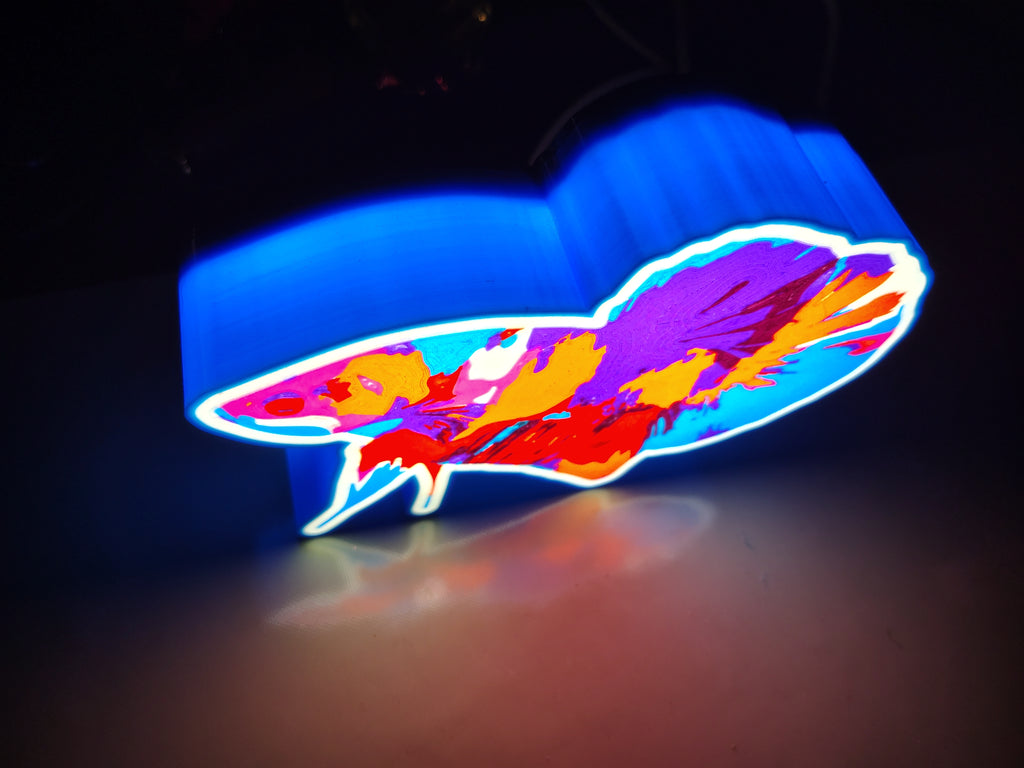 Betta Light Box