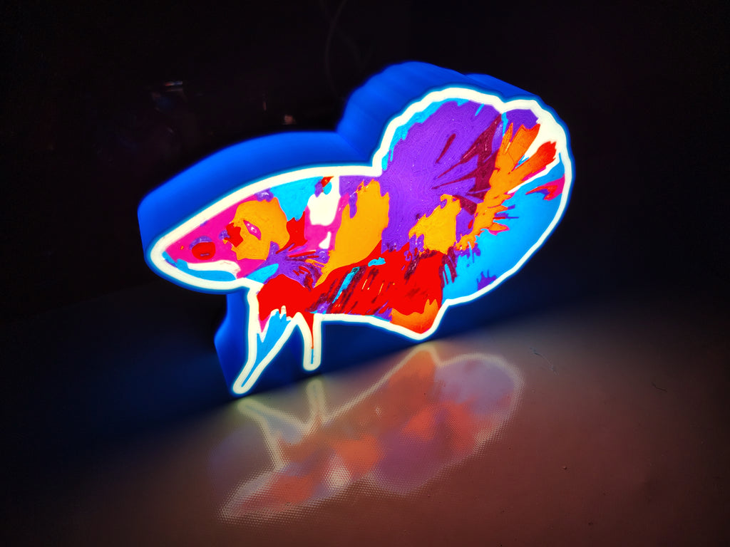 Betta Light Box