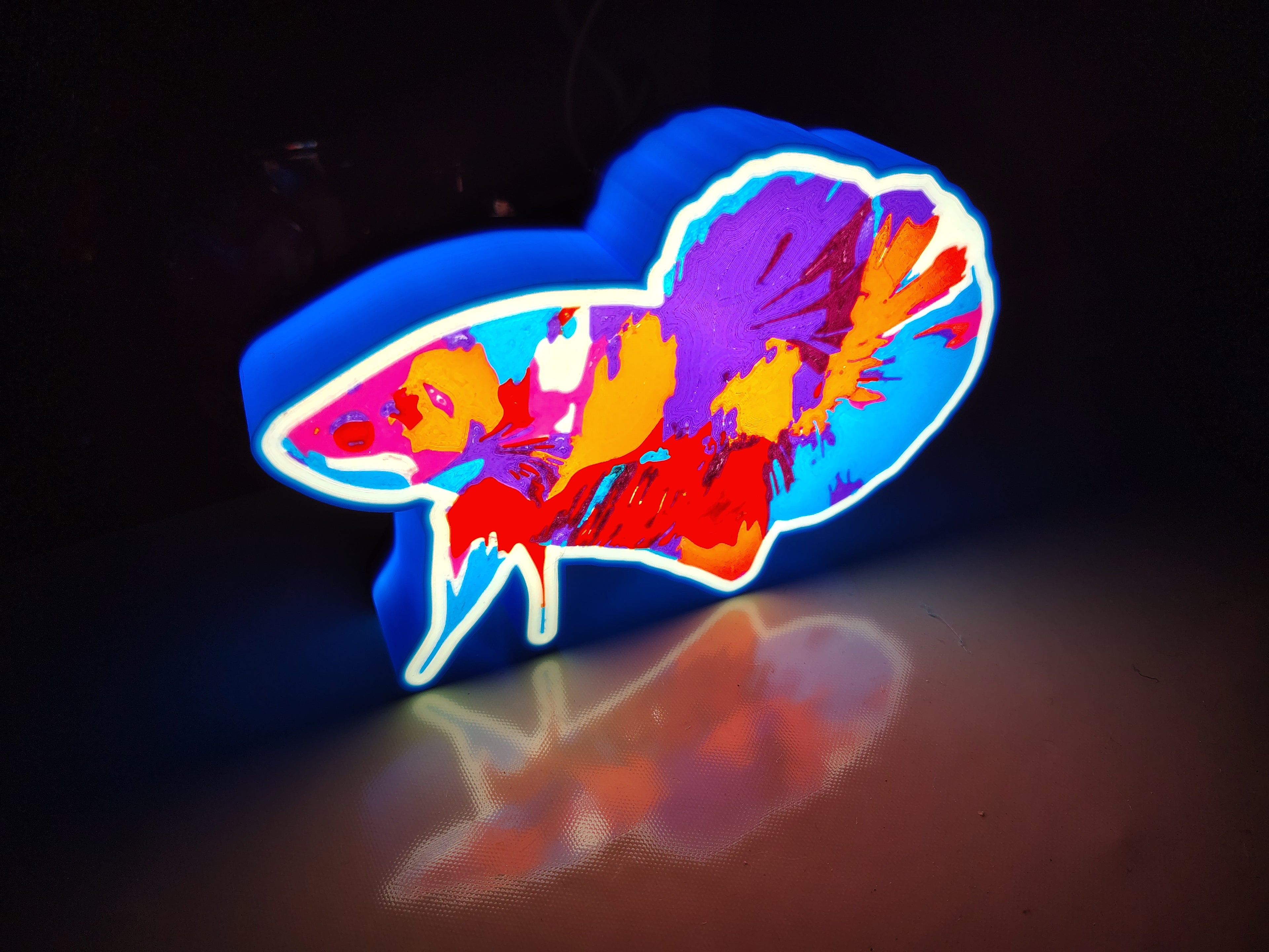Betta Light Box
