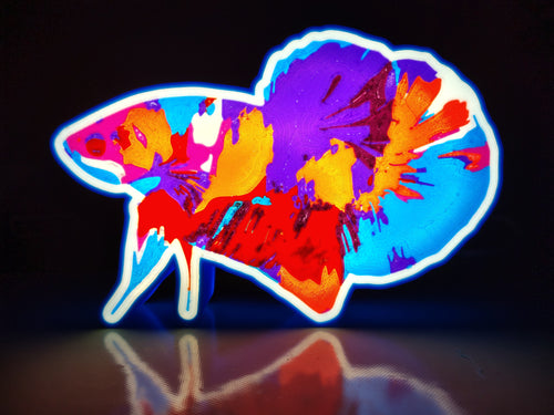 Betta Light Box