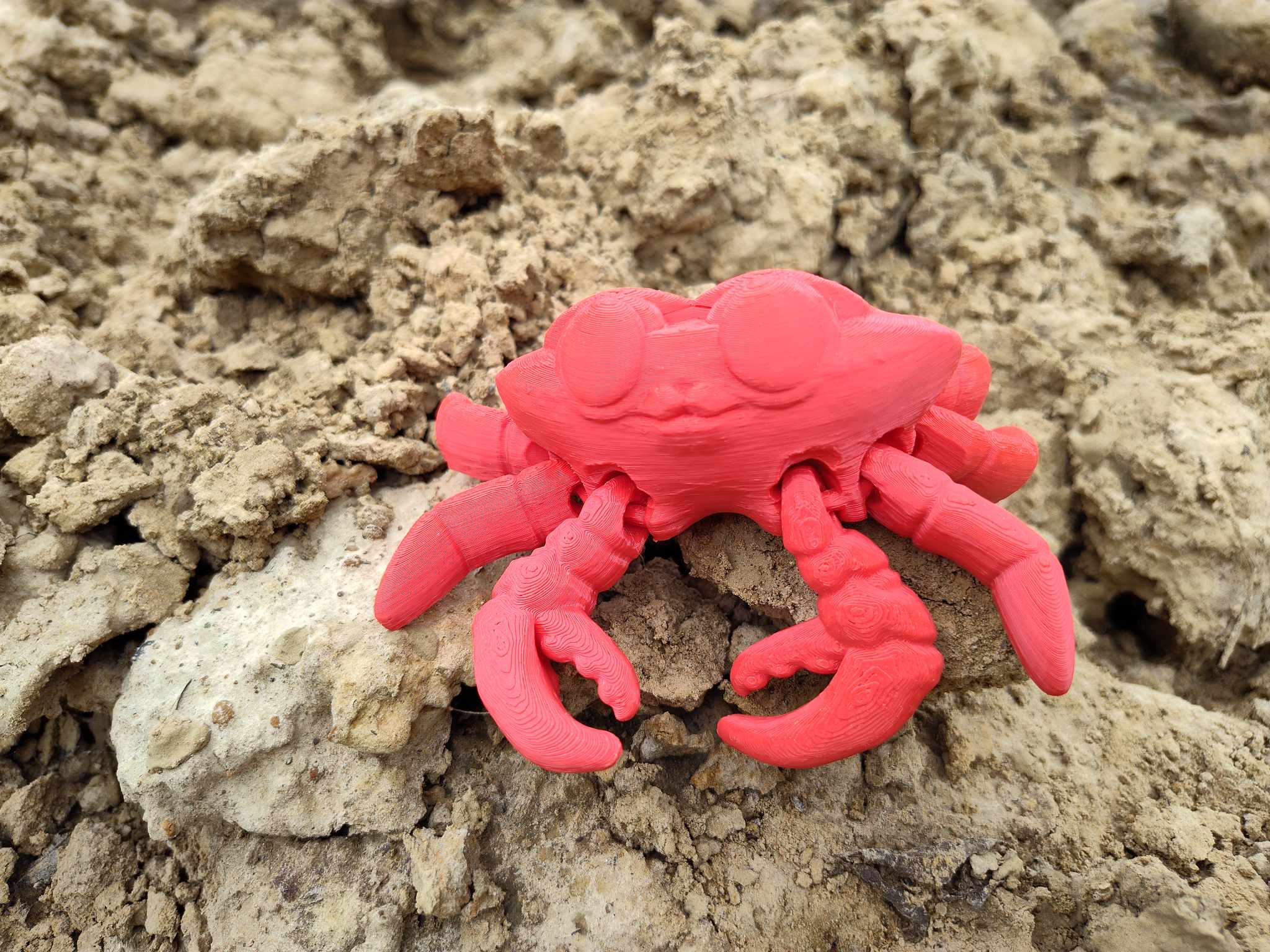 Crab