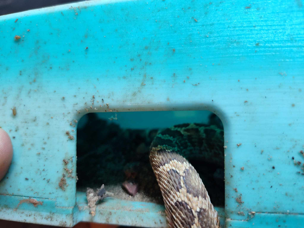 Origin Hide Box