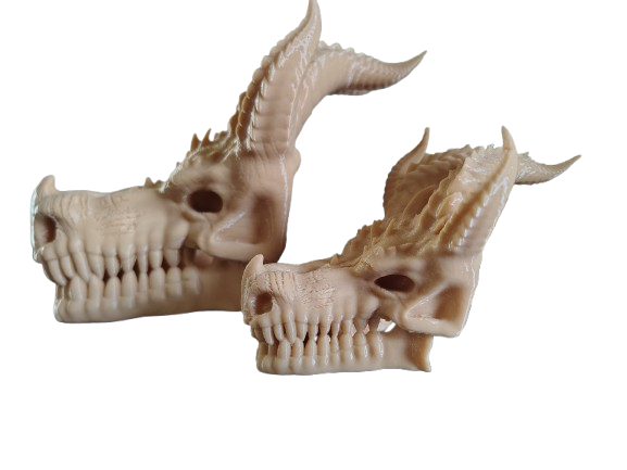 Dragon Skull