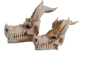 Dragon Skull