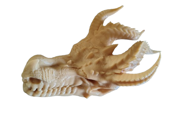 Dragon Skull