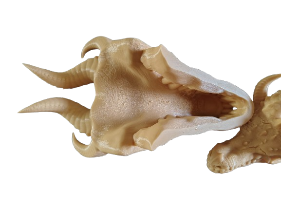 Dragon Skull