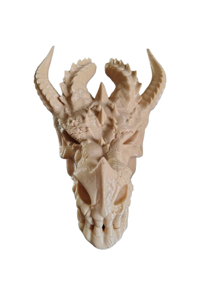 Dragon Skull