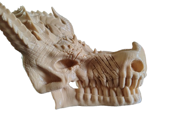 Dragon Skull