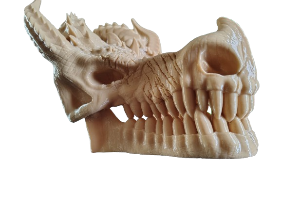 Dragon Skull