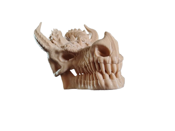 Dragon Skull