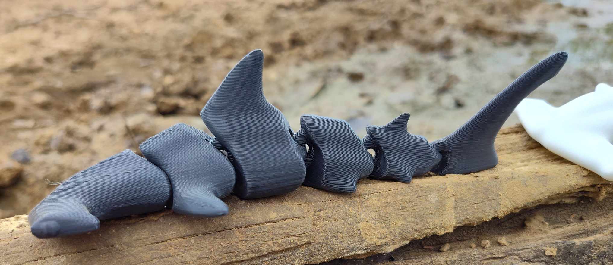 Hammerhead Shark