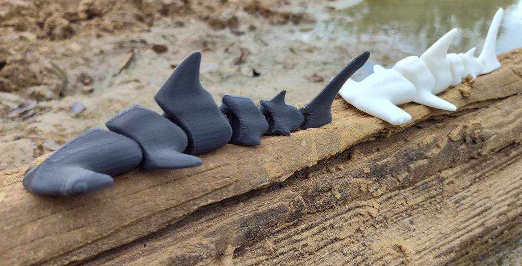 Hammerhead Shark