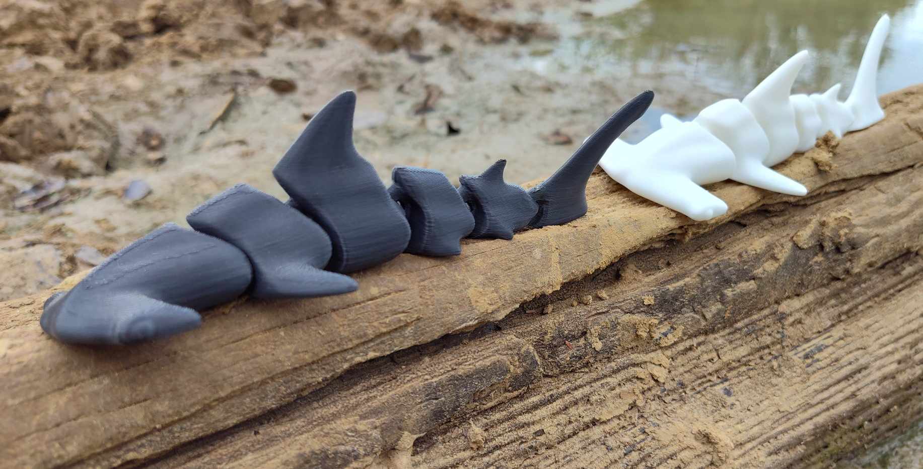 Hammerhead Shark