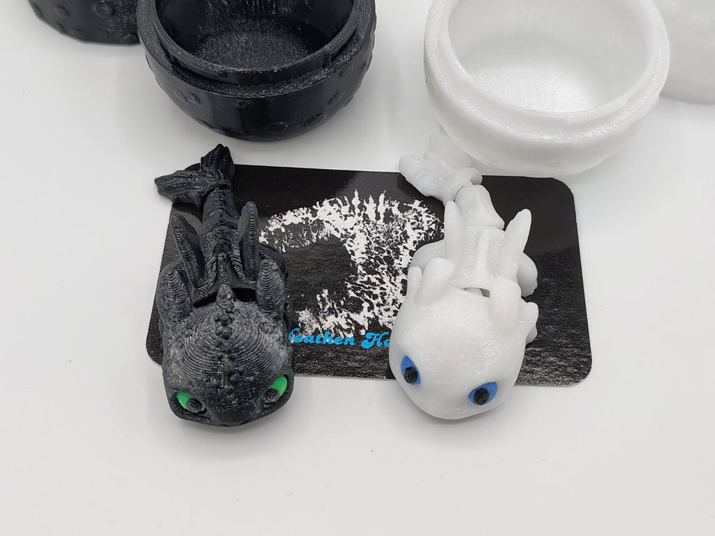 Light and Night Baby Dragon and Eggs
