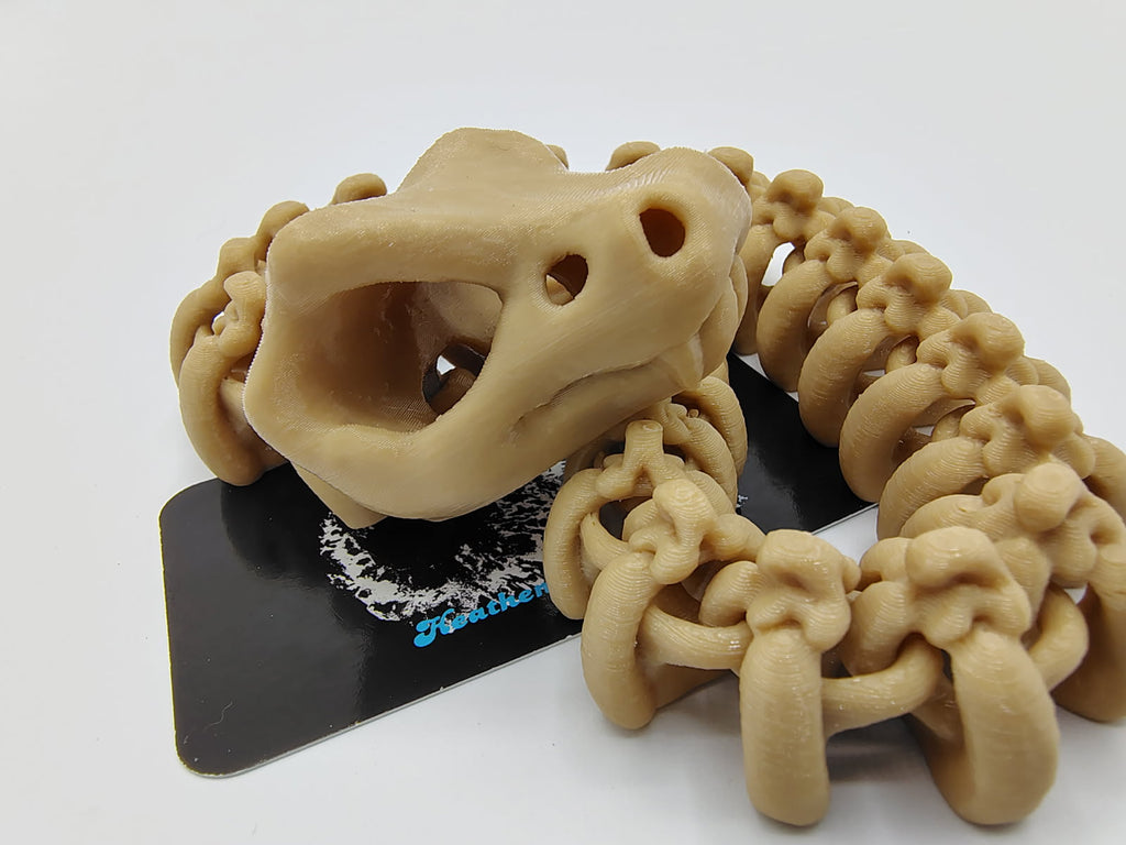 Rattlesnake Skeleton