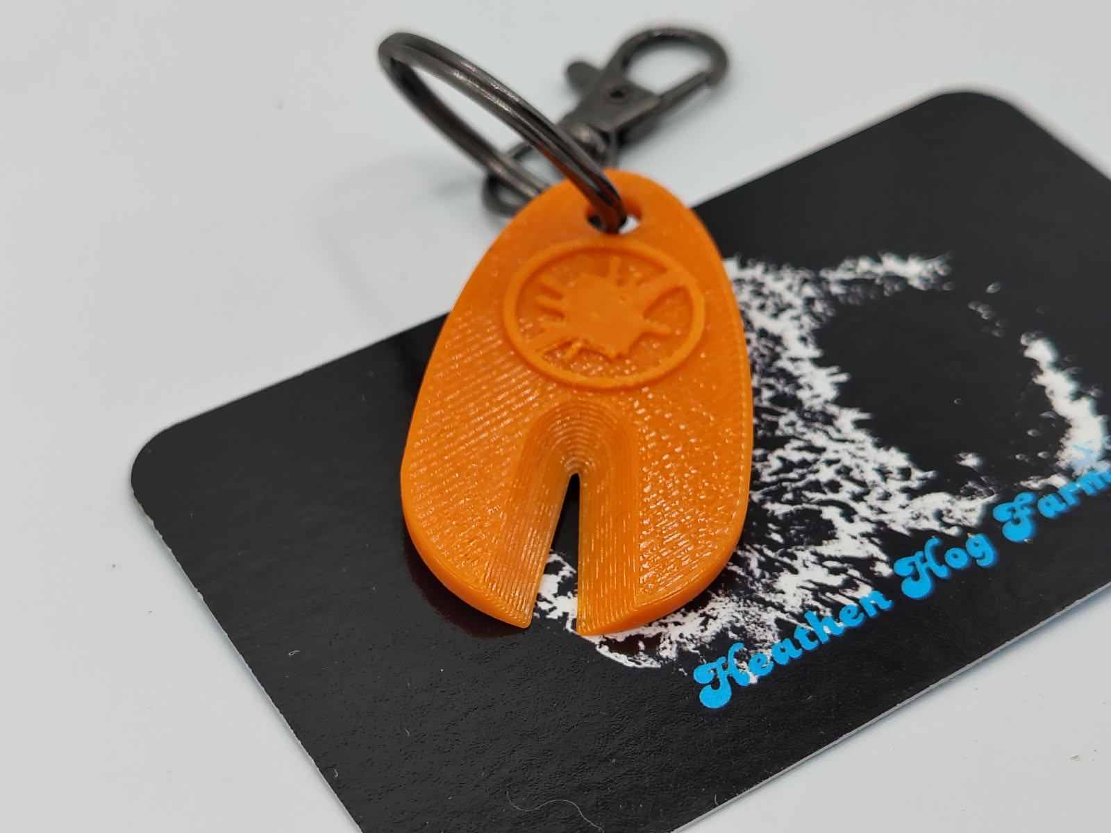 Tick Remover Keychain