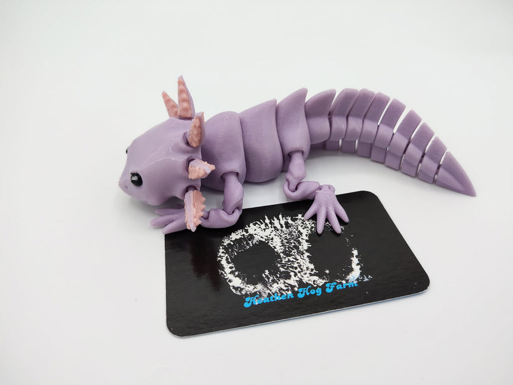 Axolotl
