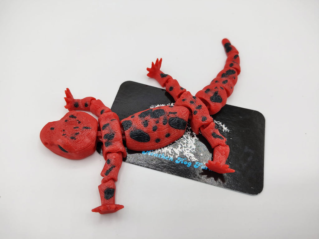 Salamander