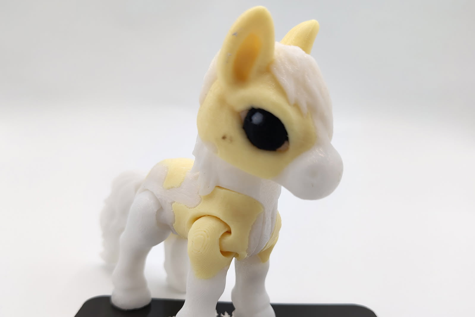 Tiny Horse